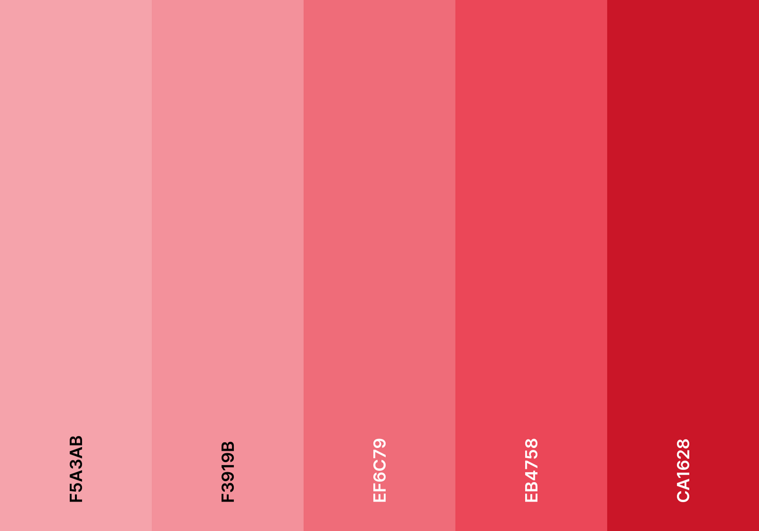Pink Monochromatic Glam Color Palette