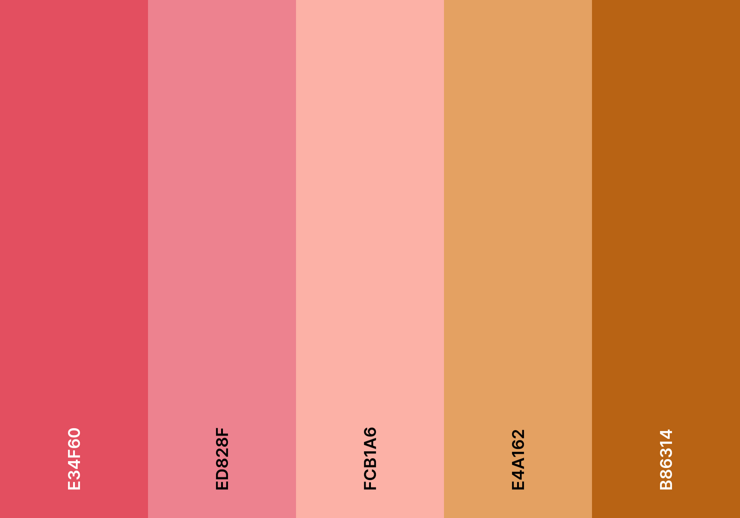 Boho Pink and Orange Color Palette
