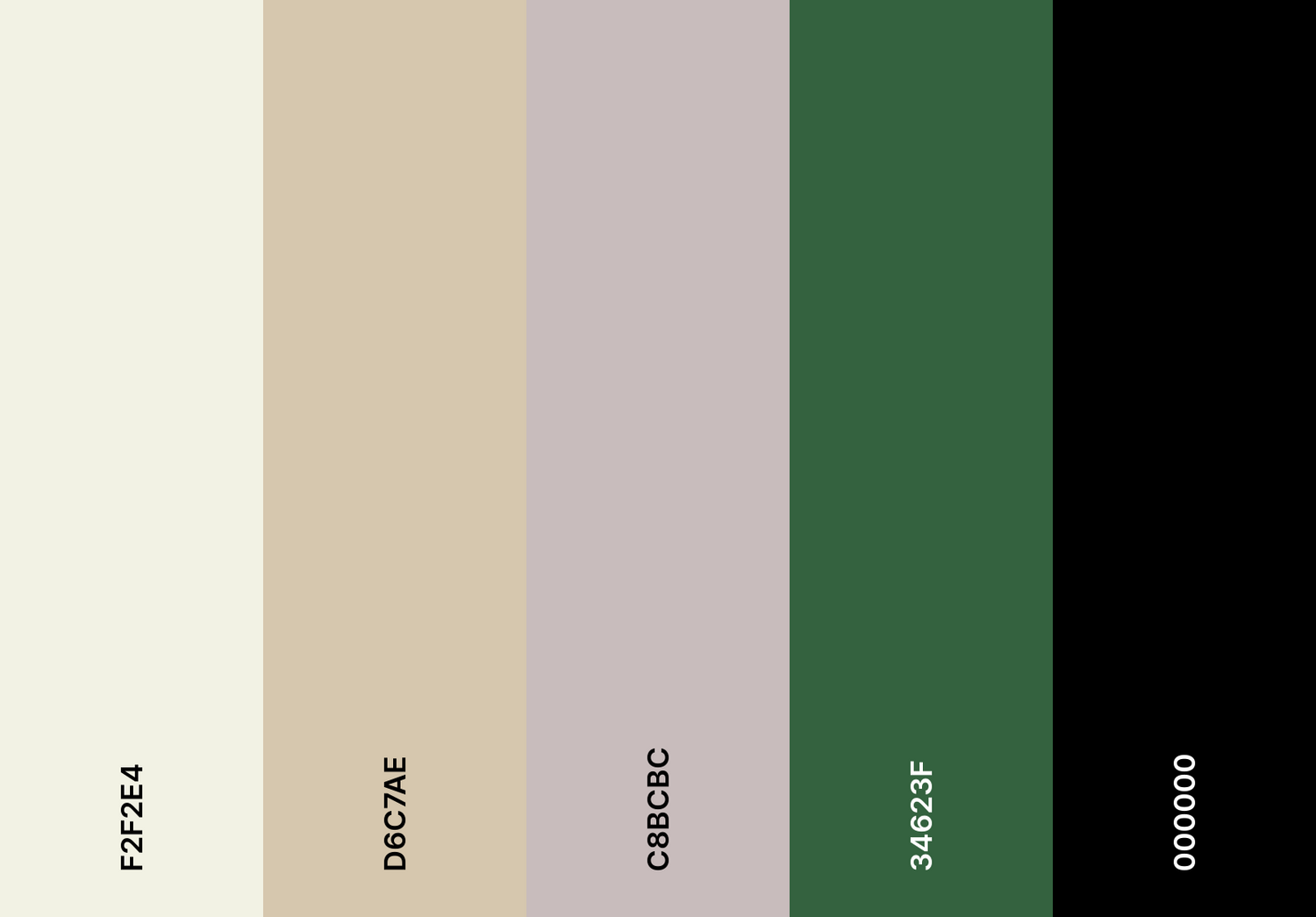 Japandi Color Palette